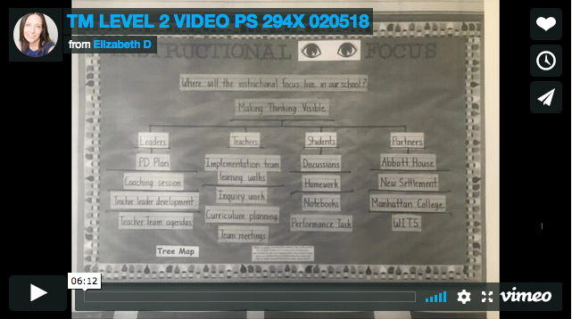 TM Level 2 Video PS 294X 020518